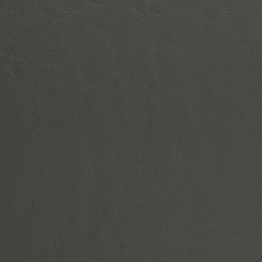 Charlotte - V443 - Graphite - Fabric by the Yard Graphite