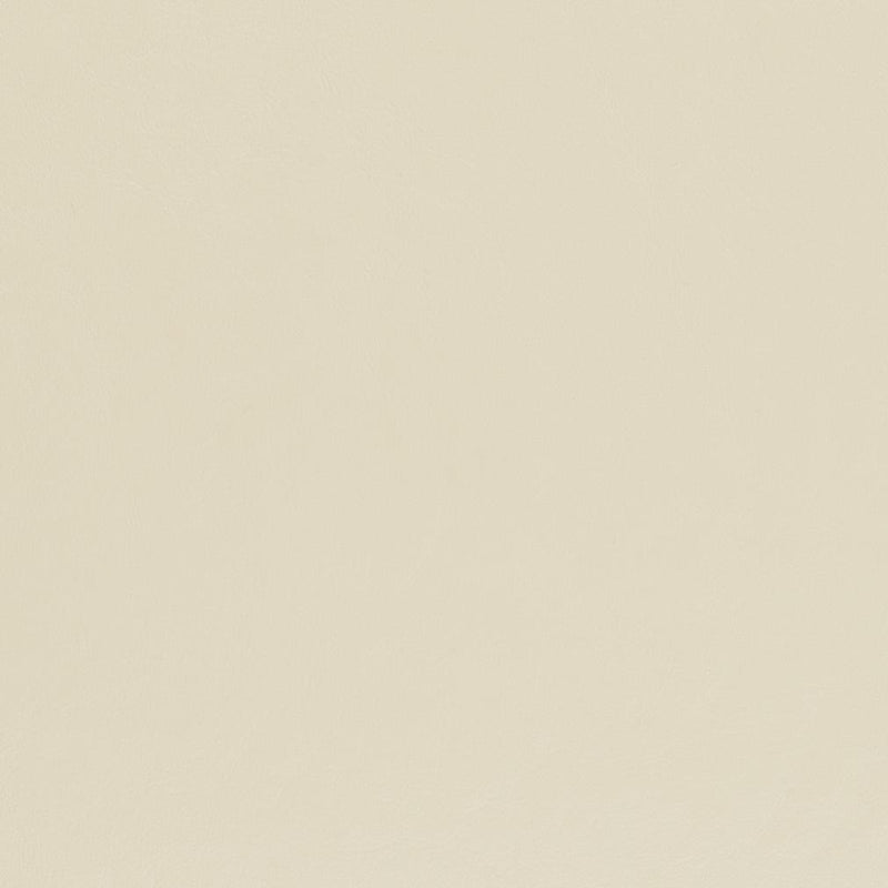 Charlotte - V446 - Chalk - Fabric by the Yard Chalk