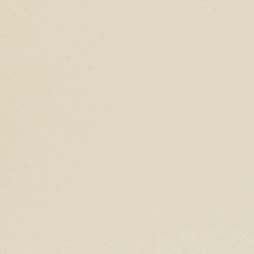 Charlotte - V446 - Chalk - Fabric by the Yard Chalk