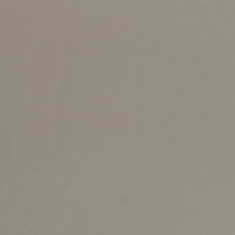 Charlotte - V449 - Pewter - Fabric by the Yard Pewter