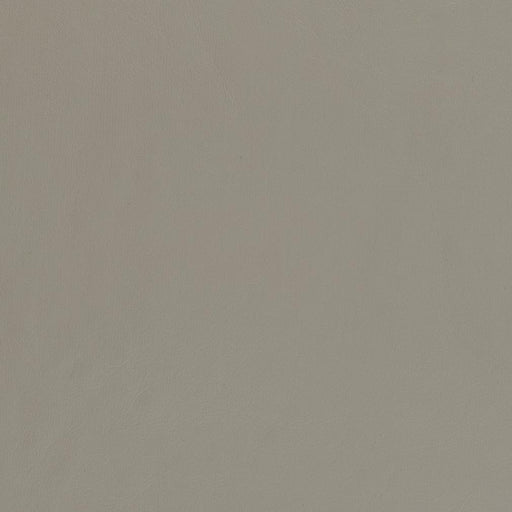 Charlotte - V449 - Pewter - Fabric by the Yard Pewter