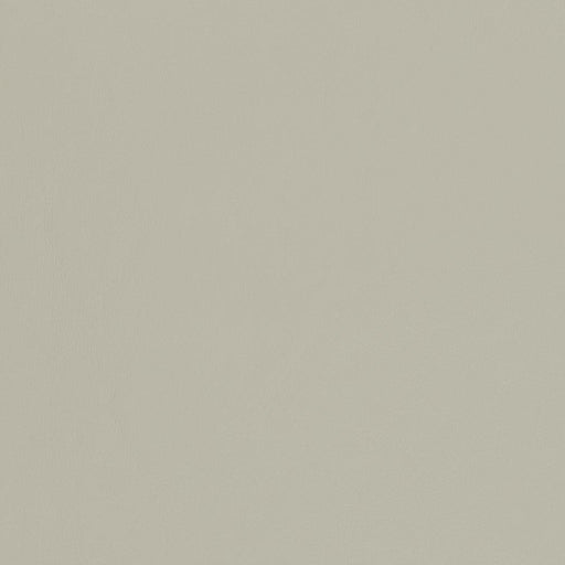 Charlotte - V453 - Dove - Fabric by the Yard Dove