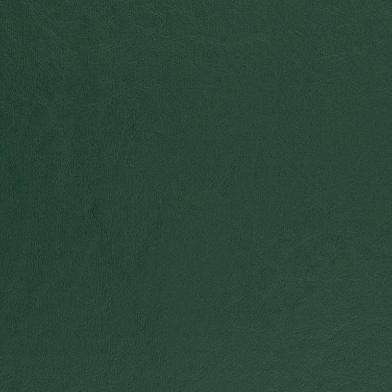 Charlotte - V457 - Spruce - Fabric by the Yard Spruce