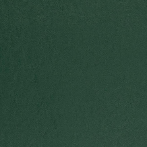 Charlotte - V457 - Spruce - Fabric by the Yard Spruce