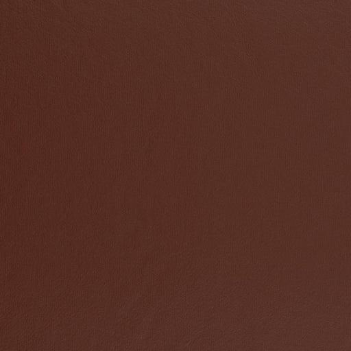 Charlotte - V458 - Wine - Fabric by the Yard Wine