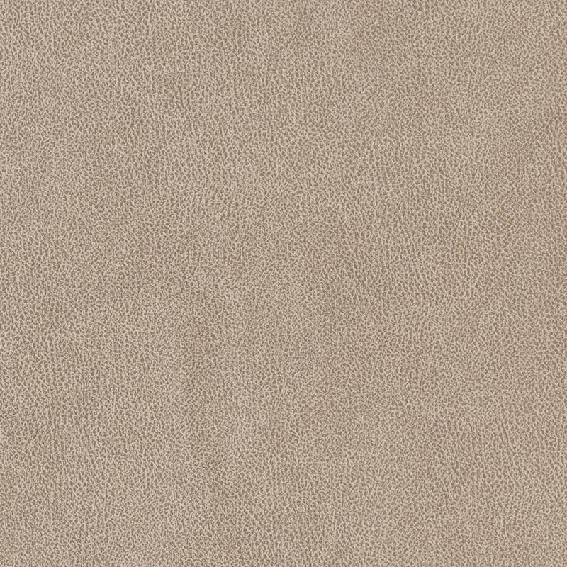 Charlotte - V500 - Sandstone - Fabric by the Yard Sandstone
