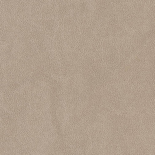 Charlotte - V500 - Sandstone - Fabric by the Yard Sandstone