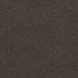 Charlotte - V501 - Charcoal - Fabric by the Yard