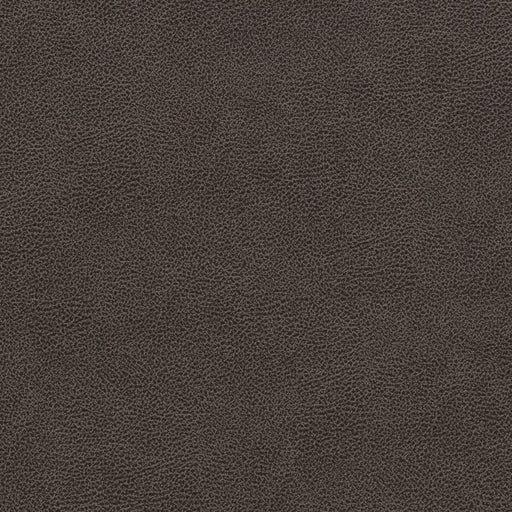Charlotte - V501 - Charcoal - Fabric by the Yard Charcoal