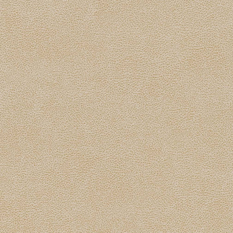 Charlotte - V502 - Sand Dollar - Fabric by the Yard Sand Dollar