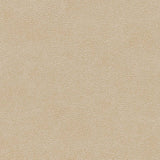 Charlotte - V502 - Sand Dollar - Fabric by the Yard