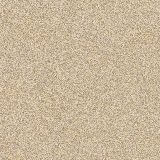 Charlotte - V502 - Sand Dollar - Fabric by the Yard Sand Dollar