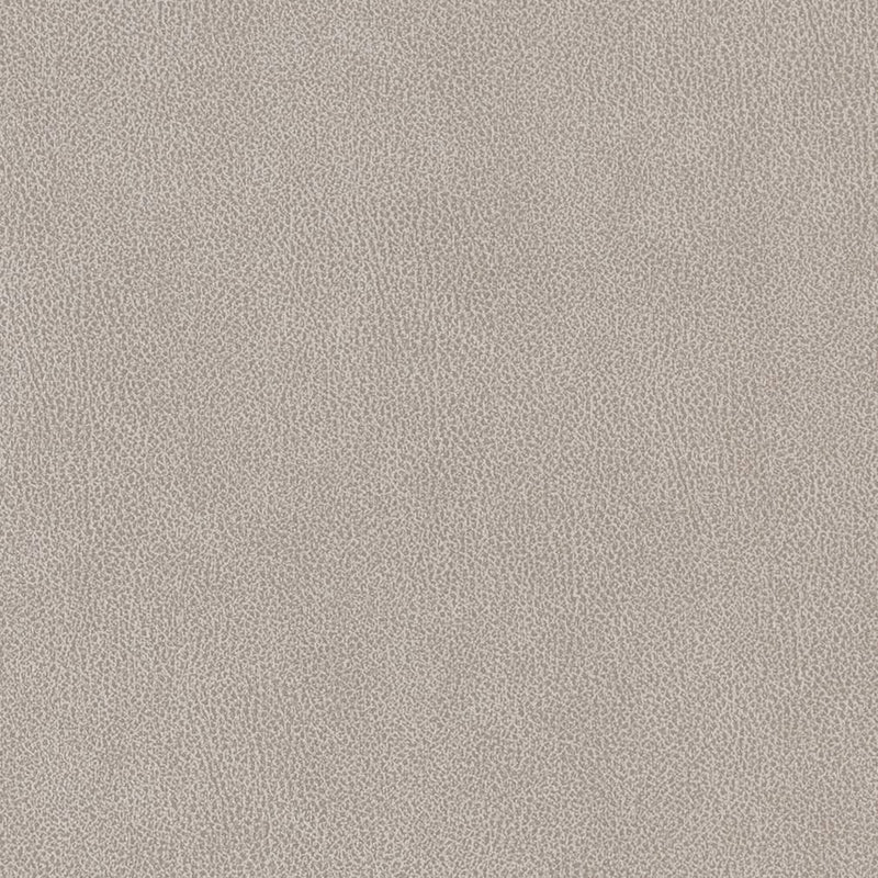 Charlotte - V503 - Platinum - Fabric by the Yard Platinum