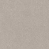 Charlotte - V503 - Platinum - Fabric by the Yard