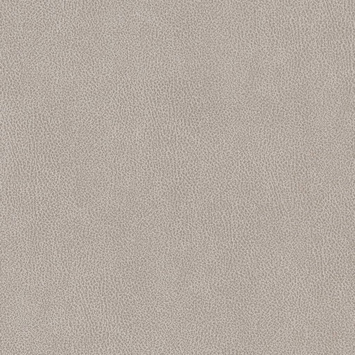 Charlotte - V503 - Platinum - Fabric by the Yard Platinum