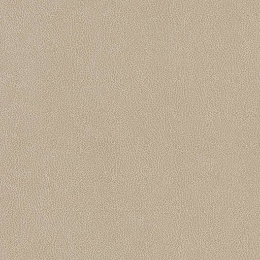 Charlotte - V506 - Linen - Fabric by the Yard Linen