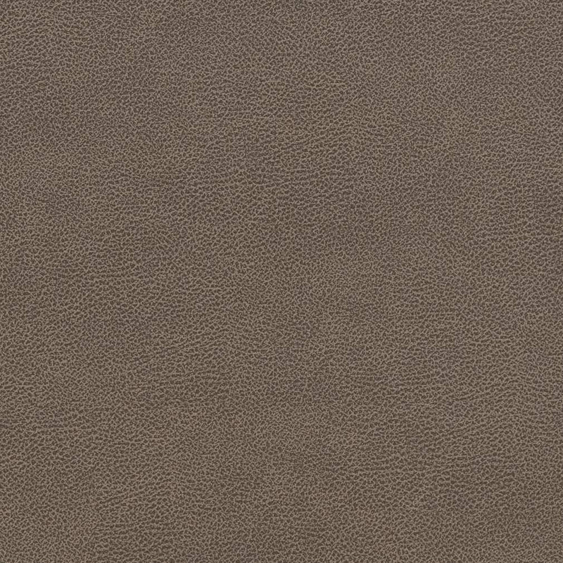 Charlotte - V507 - Ash - Fabric by the Yard Ash