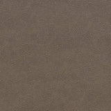 Charlotte - V507 - Ash - Fabric by the Yard