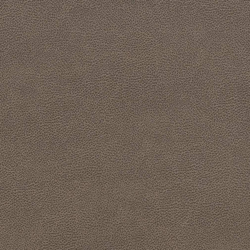 Charlotte - V507 - Ash - Fabric by the Yard Ash