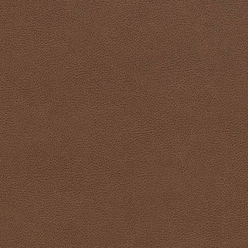 Charlotte - V509 - Pecan - Fabric by the Yard Pecan