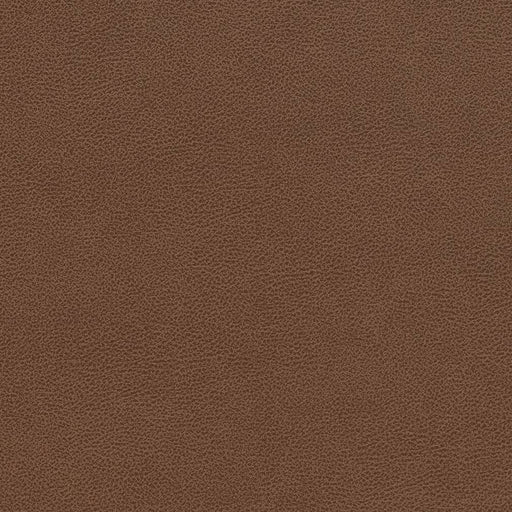 Charlotte - V509 - Pecan - Fabric by the Yard Pecan