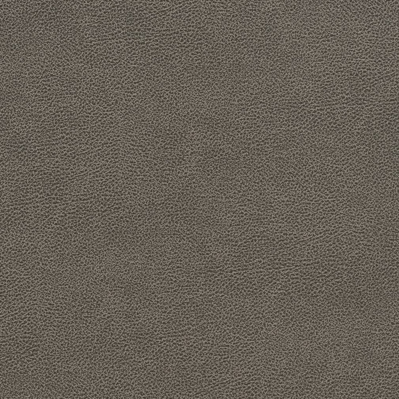 Charlotte - V510 - Storm - Fabric by the Yard Storm