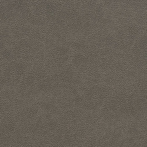 Charlotte - V510 - Storm - Fabric by the Yard Storm
