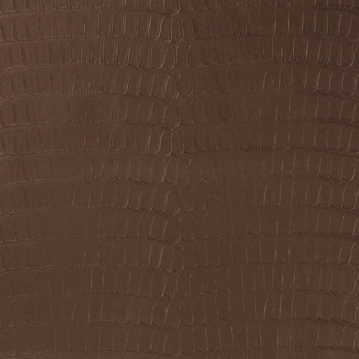 Charlotte - V590 - Truffle - Fabric by the Yard Truffle