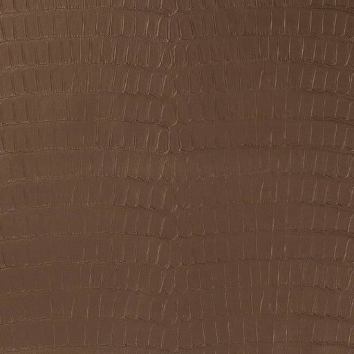 Charlotte - V591 - Chocolate - Fabric by the Yard Chocolate
