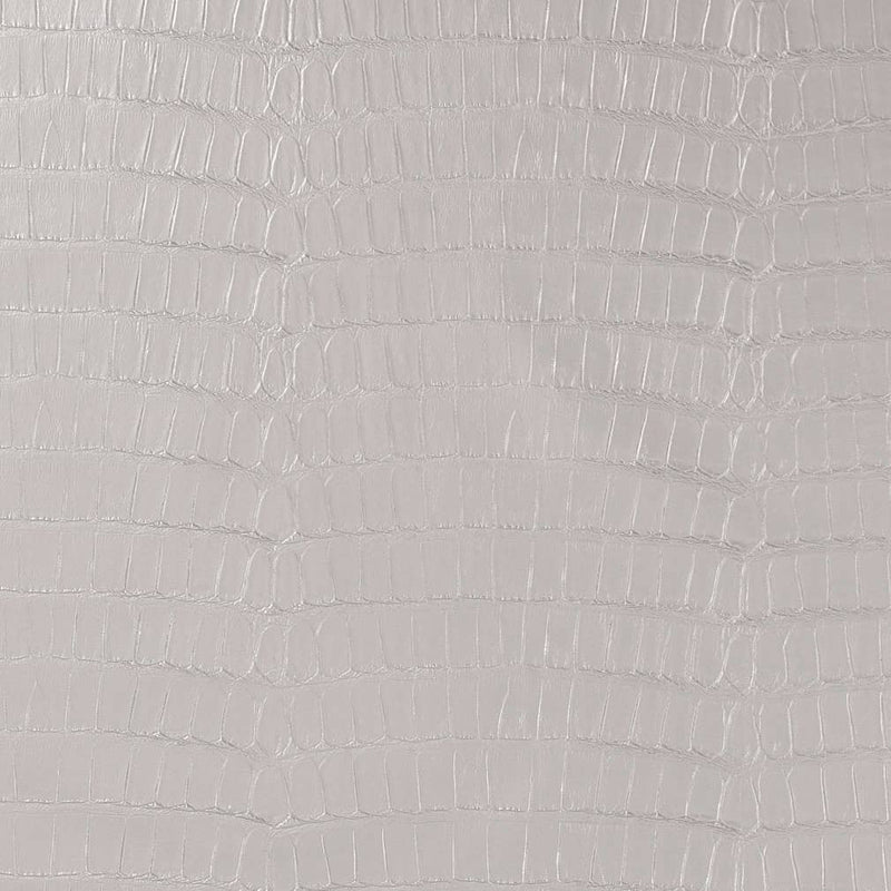 Charlotte - V592 - Chrome - Fabric by the Yard Chrome