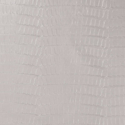 Charlotte - V592 - Chrome - Fabric by the Yard Chrome