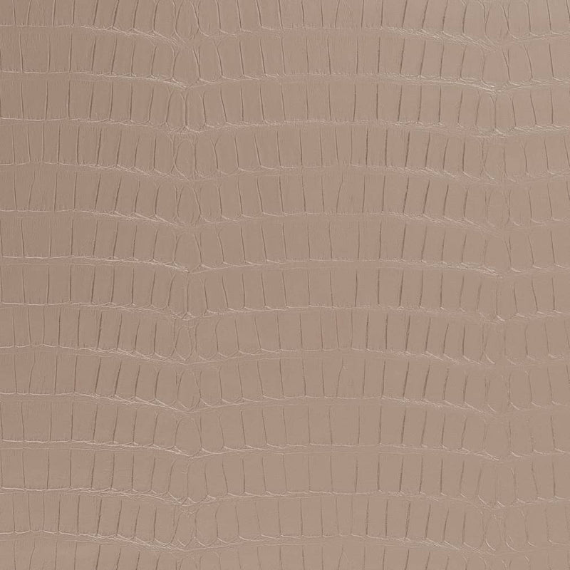 Charlotte - V593 - Mousse - Fabric by the Yard Mousse