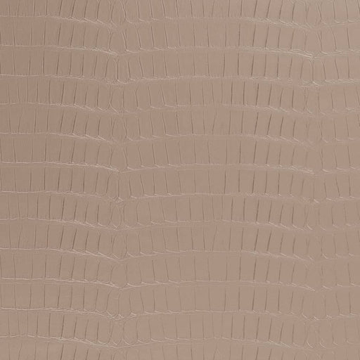Charlotte - V593 - Mousse - Fabric by the Yard Mousse