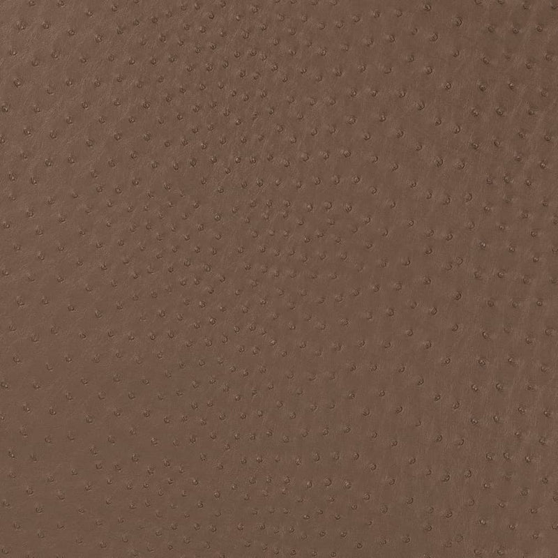 Charlotte - V594 - Mink - Fabric by the Yard Mink