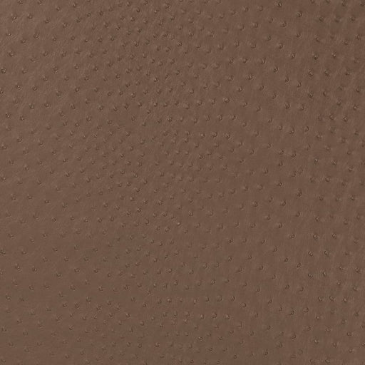 Charlotte - V594 - Mink - Fabric by the Yard Mink