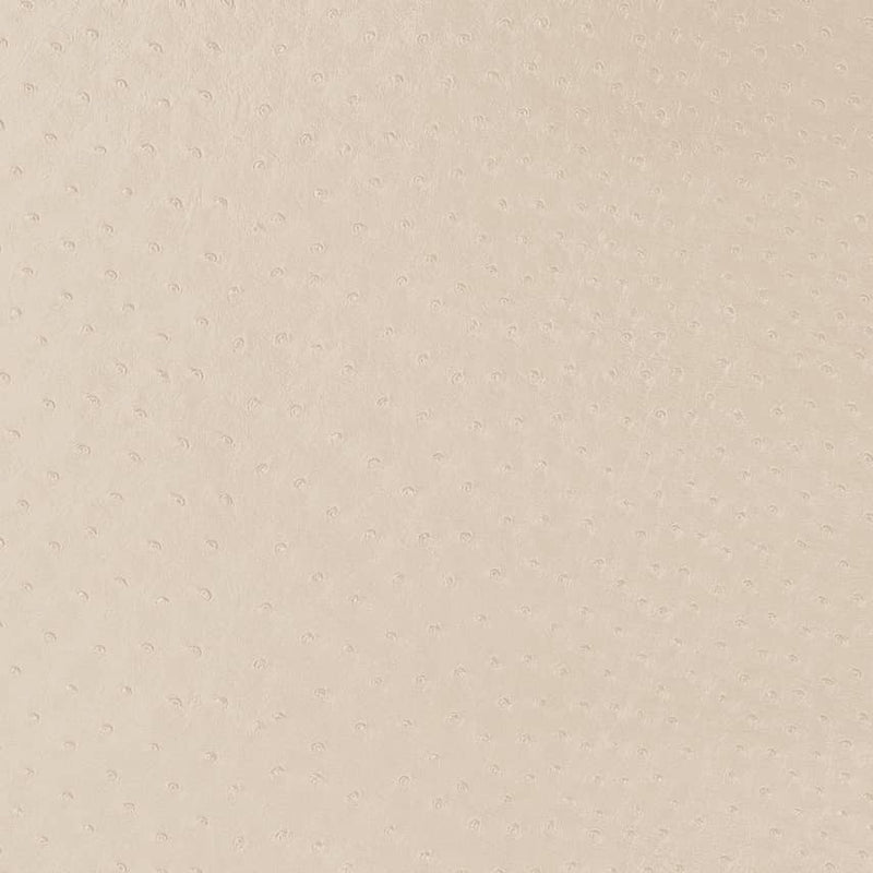 Charlotte - V596 - Parchment - Fabric by the Yard Parchment