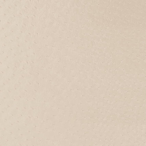 Charlotte - V596 - Parchment - Fabric by the Yard Parchment