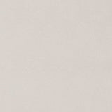 Charlotte - V609 - Alabaster - Fabric by the Yard