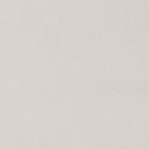 Charlotte - V609 - Alabaster - Fabric by the Yard Alabaster