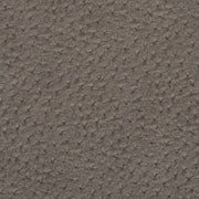 Charlotte - V617 - Pewter - Fabric by the Yard Pewter