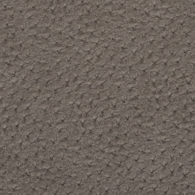 Charlotte - V617 - Pewter - Fabric by the Yard Pewter