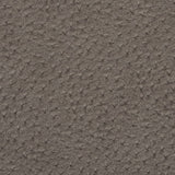 Charlotte - V617 - Pewter - Fabric by the Yard