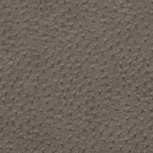 Charlotte - V617 - Pewter - Fabric by the Yard Pewter