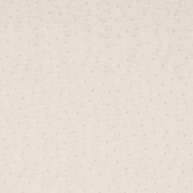 Charlotte - V618 - Pearl - Fabric by the Yard Pearl