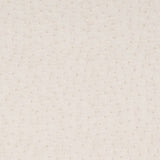 Charlotte - V618 - Pearl - Fabric by the Yard
