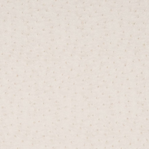 Charlotte - V618 - Pearl - Fabric by the Yard Pearl