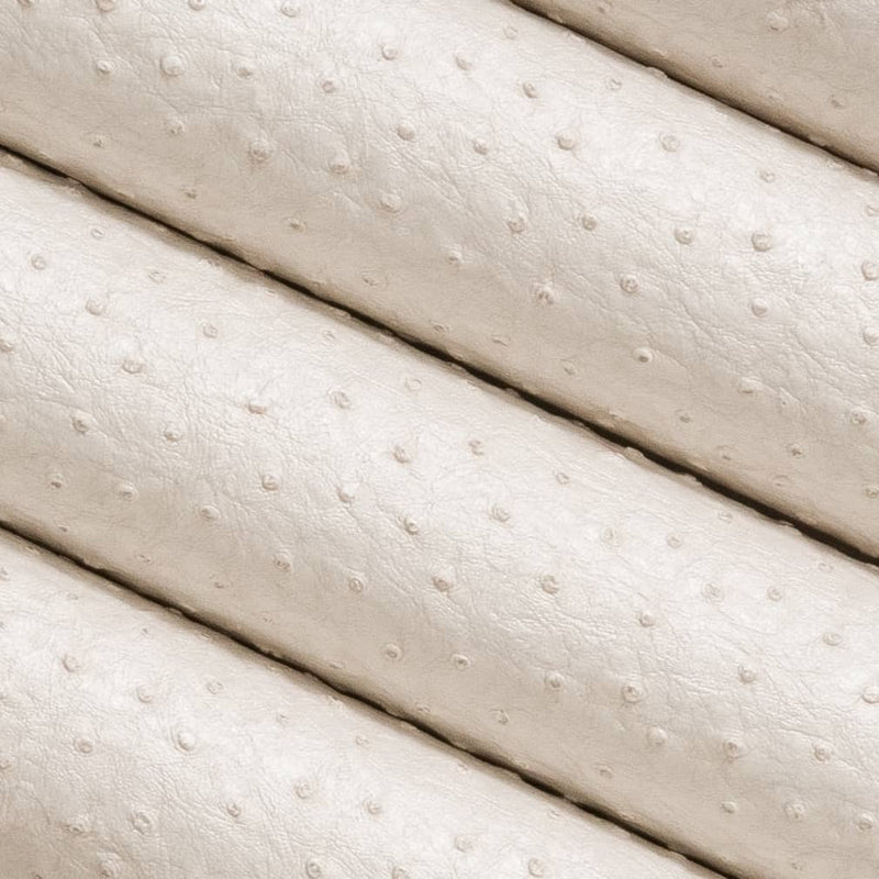 Charlotte - V618 - Pearl - Fabric by the Yard - V618 - V618_Rolled