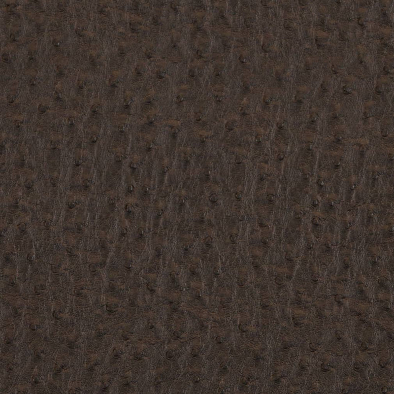 Charlotte - V619 - Bark - Fabric by the Yard Bark