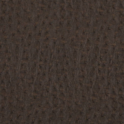 Charlotte - V619 - Bark - Fabric by the Yard Bark