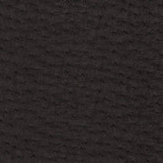 Charlotte - V620 - Ebony - Fabric by the Yard Ebony
